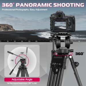 06_180a33fa-5dfd-4312-b631-6227e8ff300e 06 180a33fa 5dfd 4312 b631 6227e8ff300e