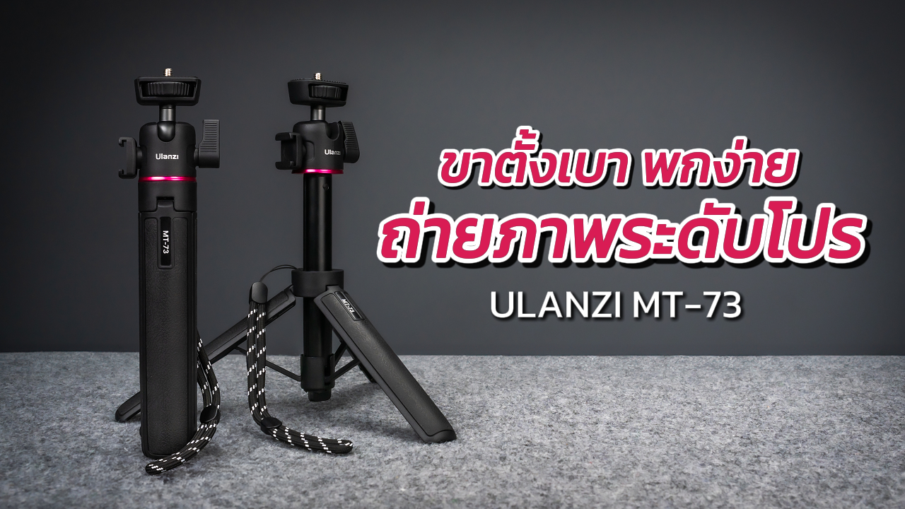 Ulanzi Mt73
